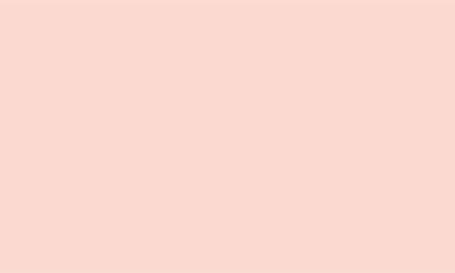 Le Mini Macaron Gel Strips Nail Starter Kit In Blush