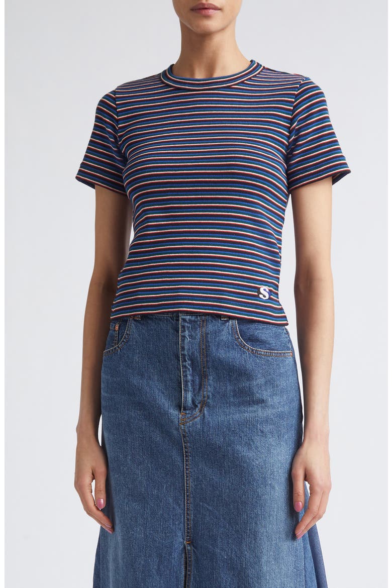 Stripe Rib Cotton T-Shirt, Main, color, BLUE