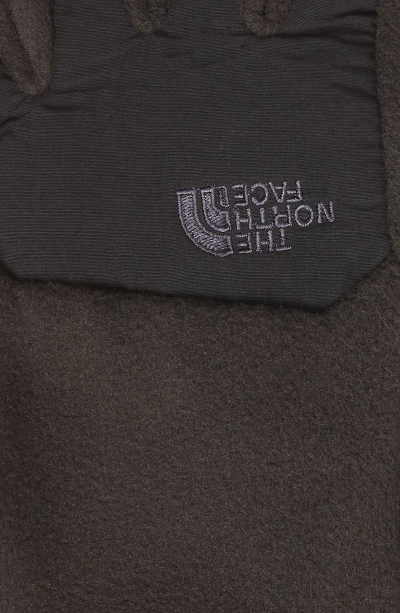 The North Face 'Denali' E-Tip Gloves, Alternate, color, 