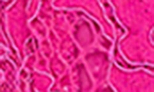 L'agence Aislin Lace Bralette Top In Pink