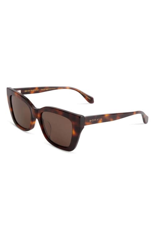 Mohala Eyewear Kai 55mm Low Bridge Wide Width Polarized Cat Eye Sunglasses