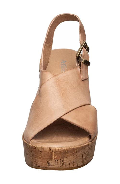 Antelope Aly Wedge Platform Sandal In Brown