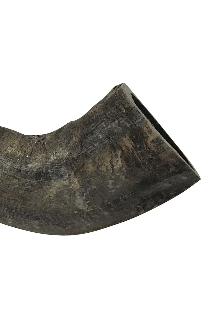 MOSSY OAK Water Buffalo Horn - Large - Dog Chew, Long Lasting Pet Treat, Alternate, color, Multicolored