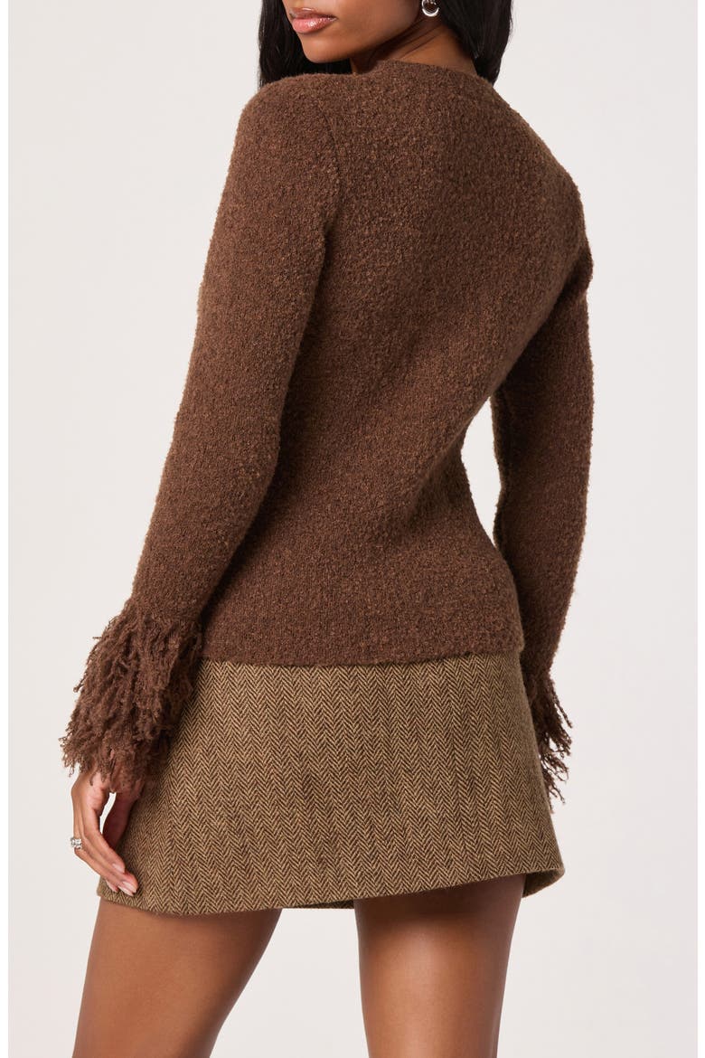 Fringe Sleeve Cardigan, Alternate, color, BROWN