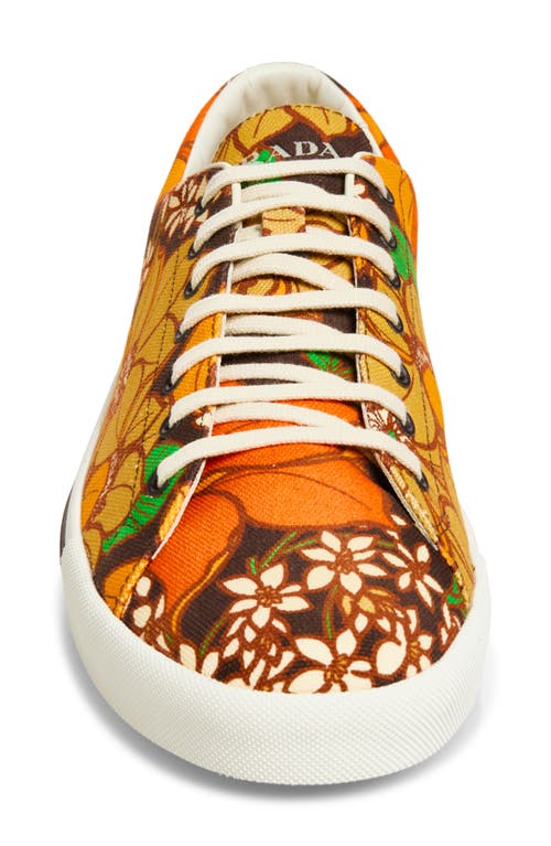 Prada Imprint Floral Sneaker In Multi