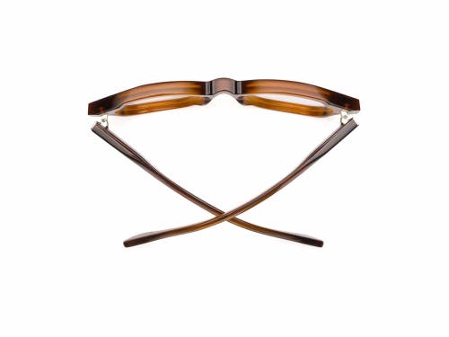 Caddis Muzzy | Reading Glasses