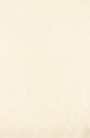 Vince Camuto Oversized Satin Pashmina Wrap