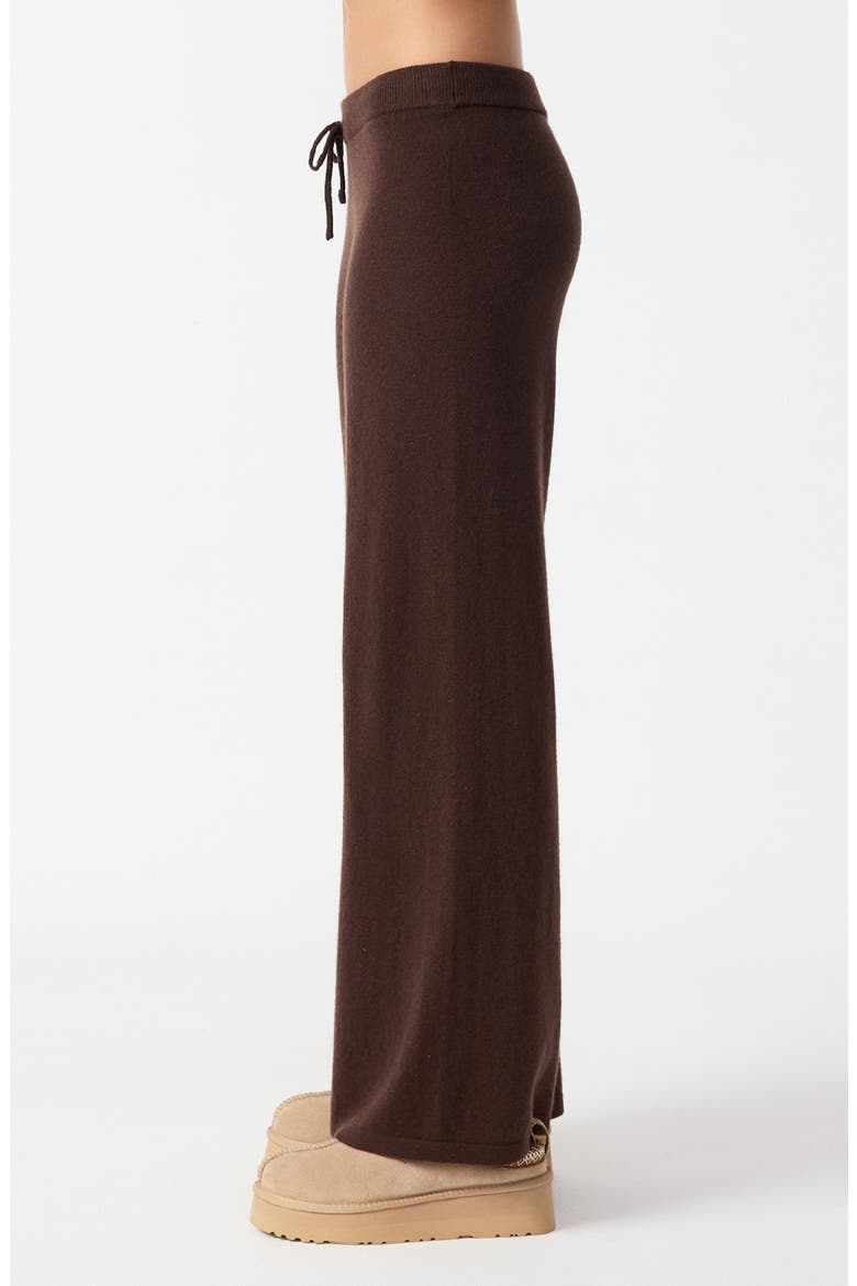 Amelie Cashmere Blend Knit Wide Leg Pants, Alternate, color, BROWN
