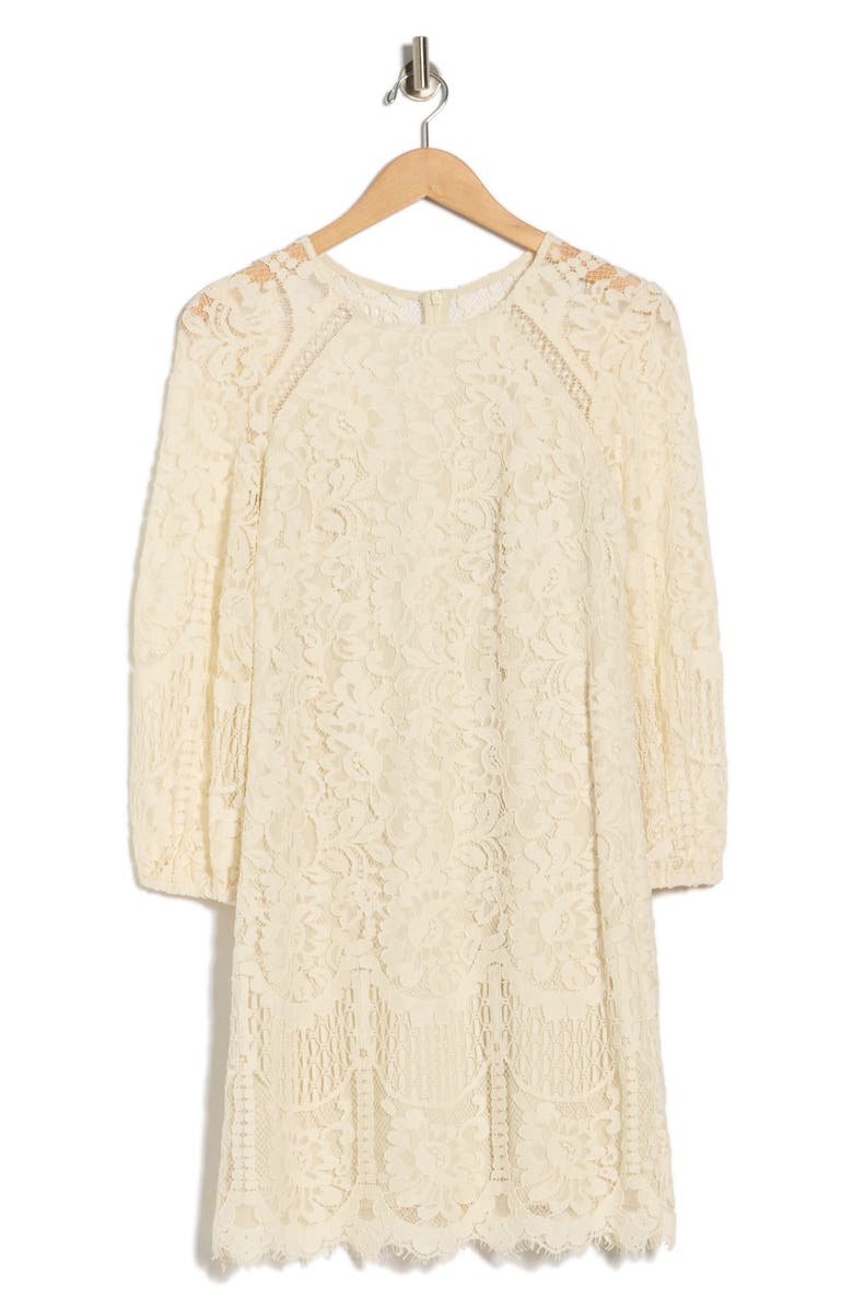 Vince Camuto Raglan Long Sleeve Lace Dress, Alternate, color, 