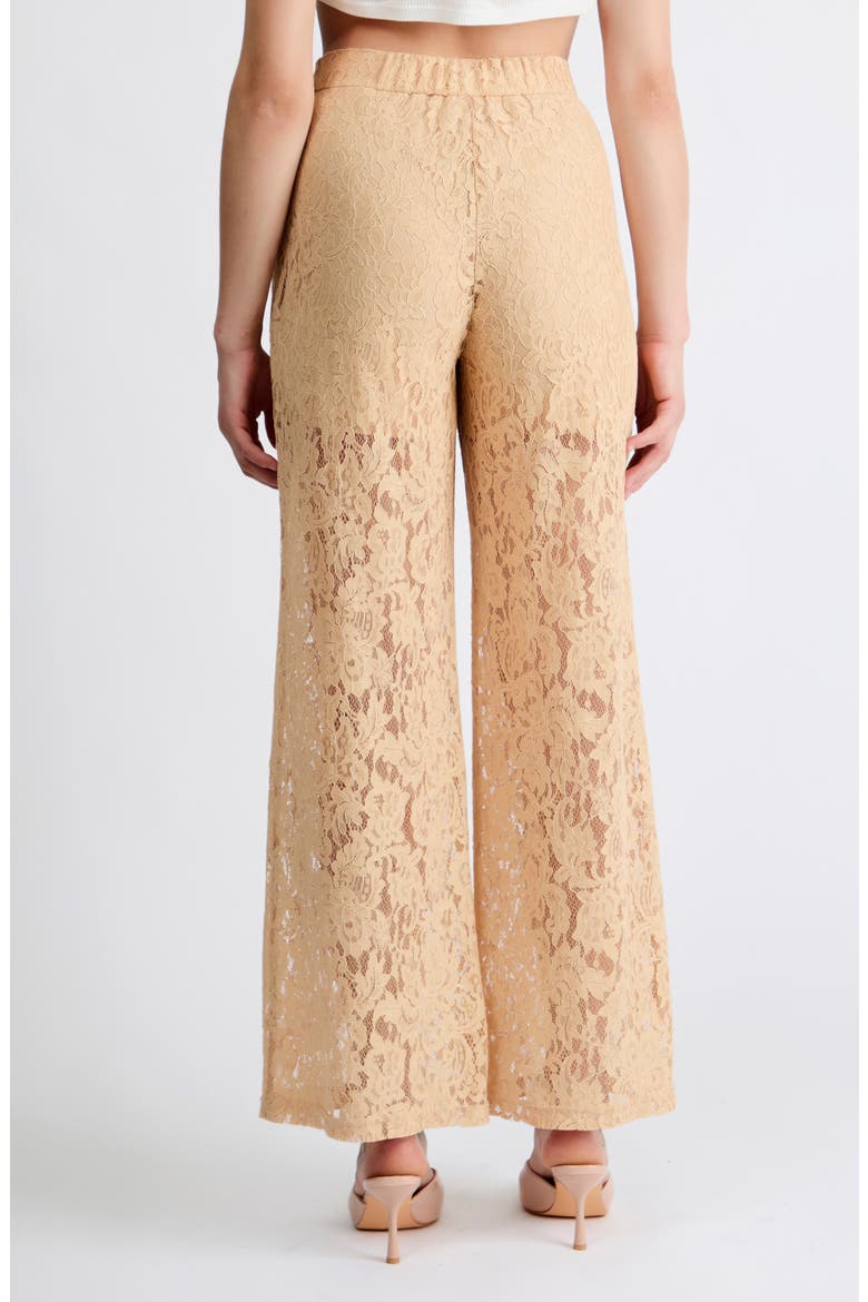 Andrey Lace Trousers, Alternate, color, TAN