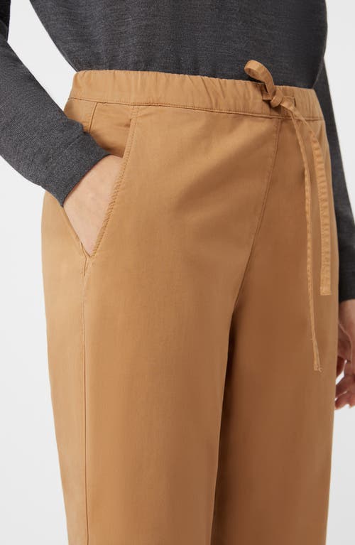 Mm By Max Mara Parco Tie Waist Crop Pants In Brown