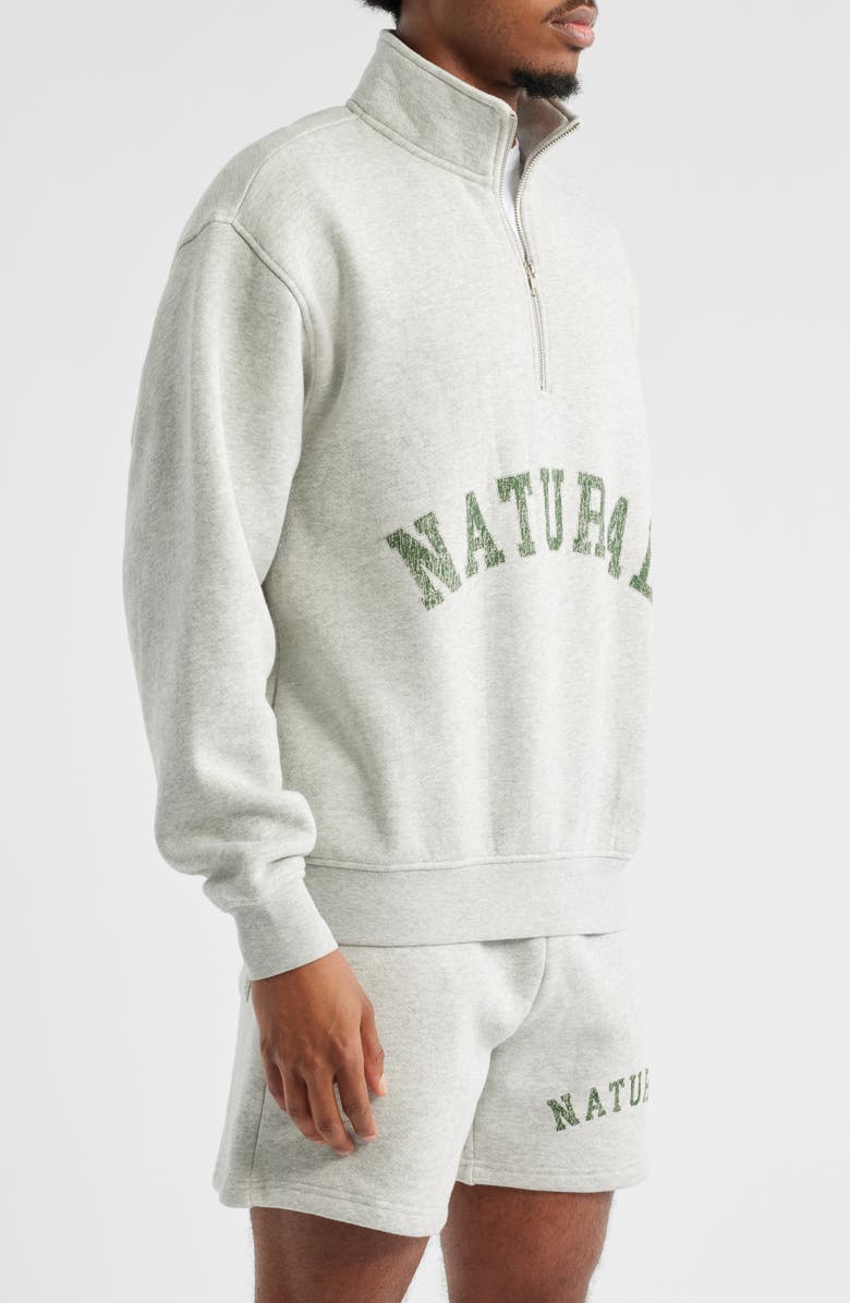 Museum of Peace & Quiet Arch Pigment Dyed Half Zip Graphic Sweatshirt, Alternate, color,