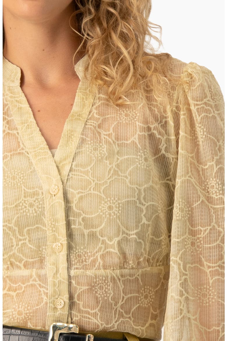 Sheer Floral Jacquard Puff-sleeve Button-front Blouse, Alternate, color, Ivory