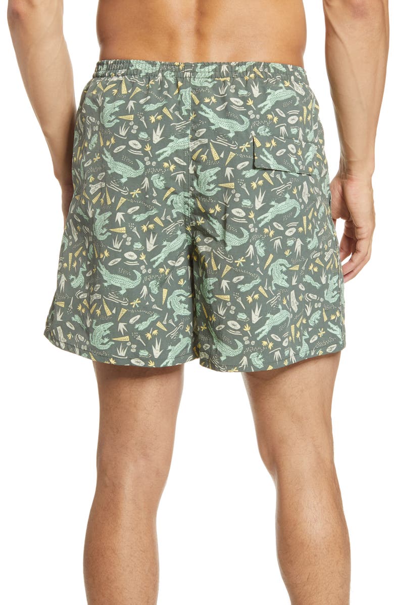 Patagonia Baggies 5-Inch Swim Trunks, Alternate, color,