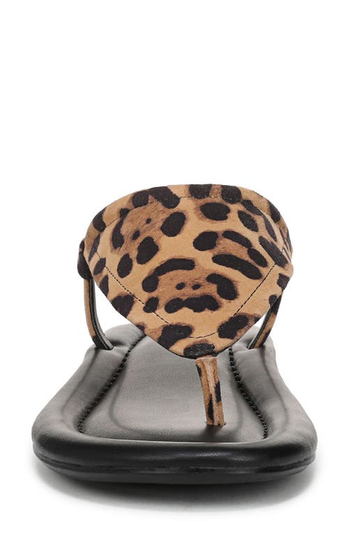 Franco Sarto Jocelyn Leopard Print Sandal In Brown