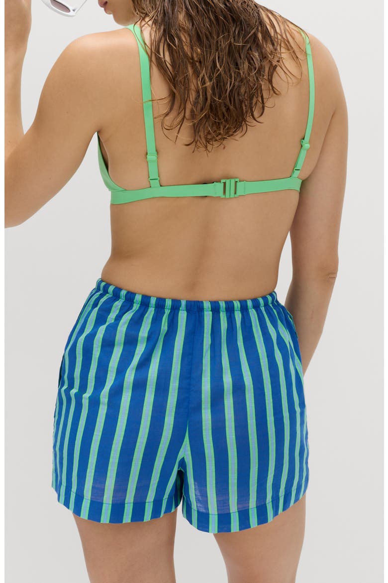 Stripe Cotton Shorts, Alternate, color, BLUE/ MULTI