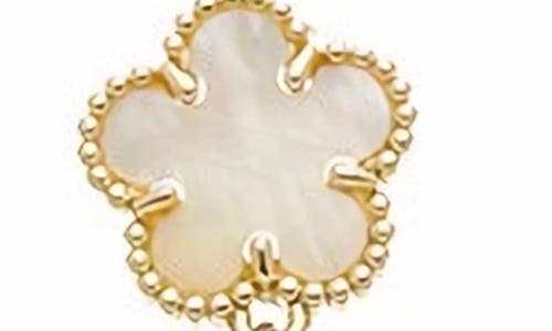 Juvell Necklace 321 In Brown