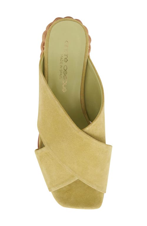 Andre Assous André Assous Willa Woven Heel Sandal In Pistachio