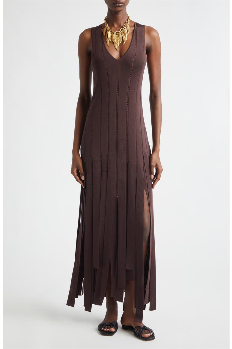 Kindred Spirit Luna Fringe Pointelle Rib Sweater Dress, Main, color, CHOCOLATE