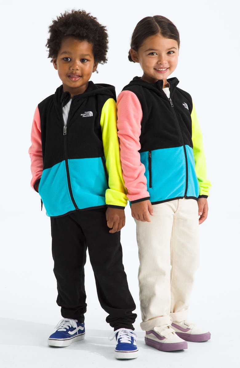 The North Face Kids' Glacier Zip Hoodie, Alternate, color, 