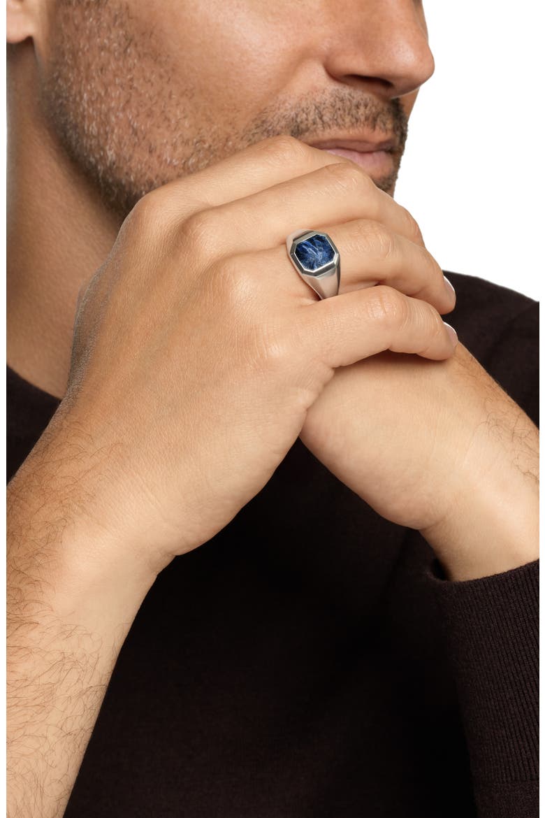 Men's Streamline® Inlay Signet Ring in Sterling Silver with Pietersite, 14mm, Alternate, color, SILVER
