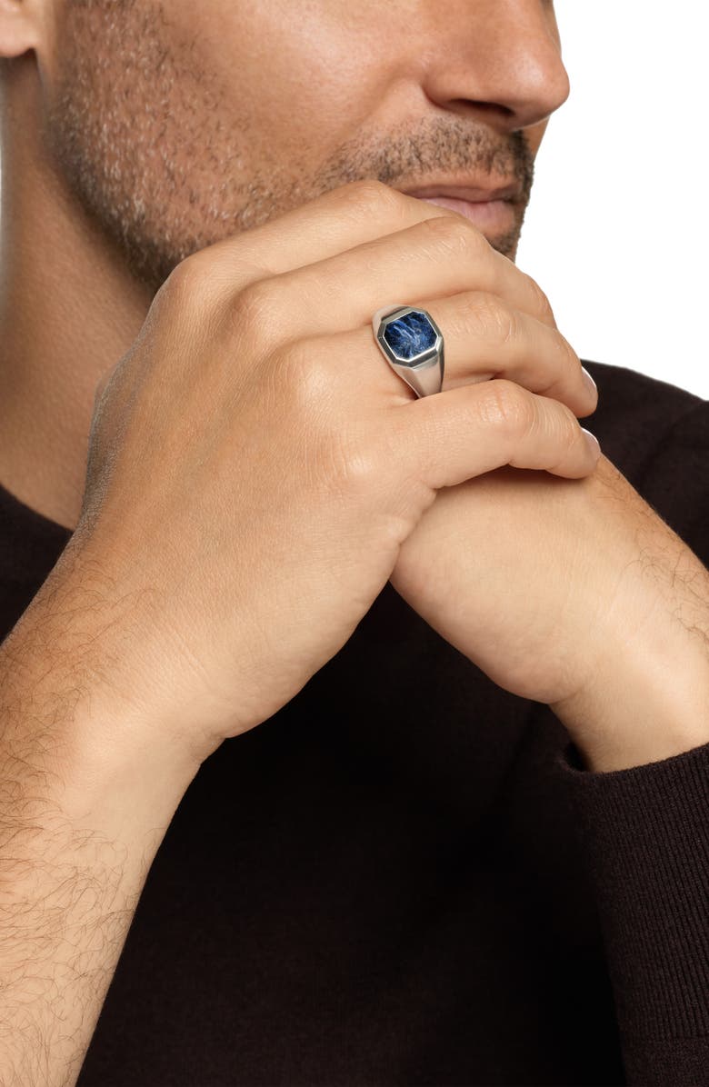 David Yurman Men's Streamline<sup>®</sup> Inlay Signet Ring in Sterling Silver with Pietersite, 14mm, Alternate, color, Silver
