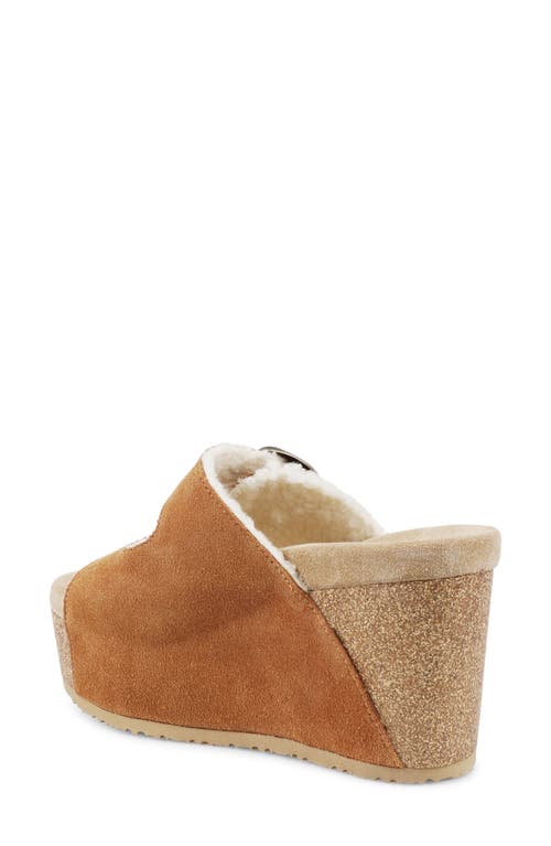 Zigi Faux Shearling Platform Sandal In Brown