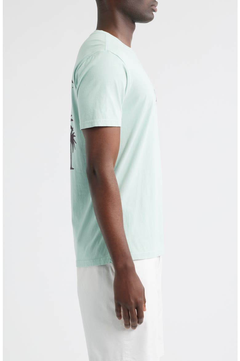 Palm Gorge Graphic T-Shirt, Alternate, color, HARBOR