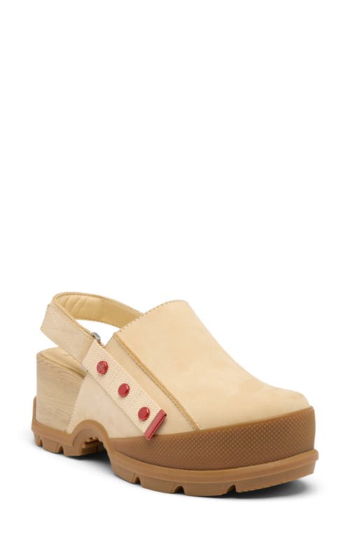 Sorel Roam'n Rbr Clog In Caribou Beige/gum