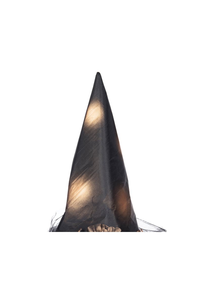 Copper & Black Witch Costume Hat, Alternate, color, Black