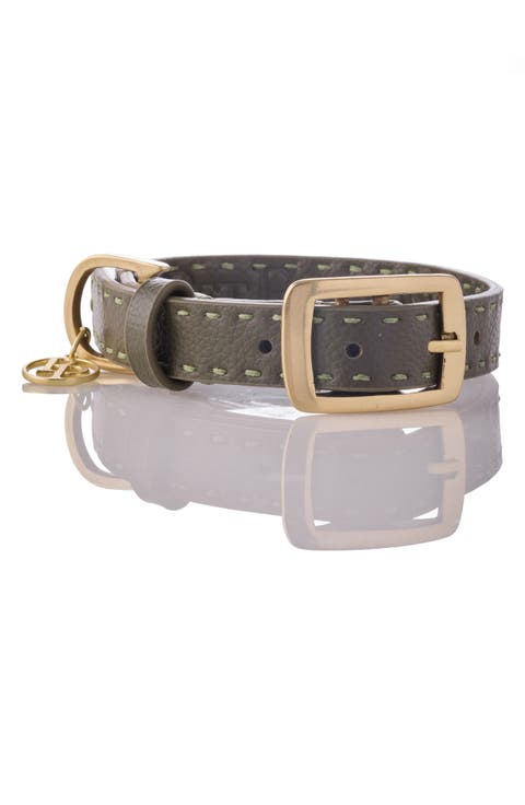Rein Faux Leather Dog Collar