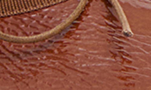 Mansur Gavriel Dream Ballerina Flat In Brown