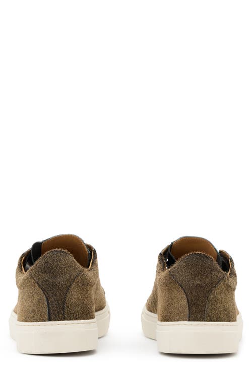 John Varvatos 315 Reed Genuine Calf Hair Low Top Sneaker In Gold