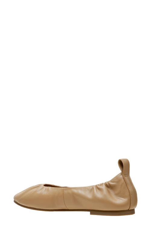 Linea Paolo Newry Ballet Flat In Desert