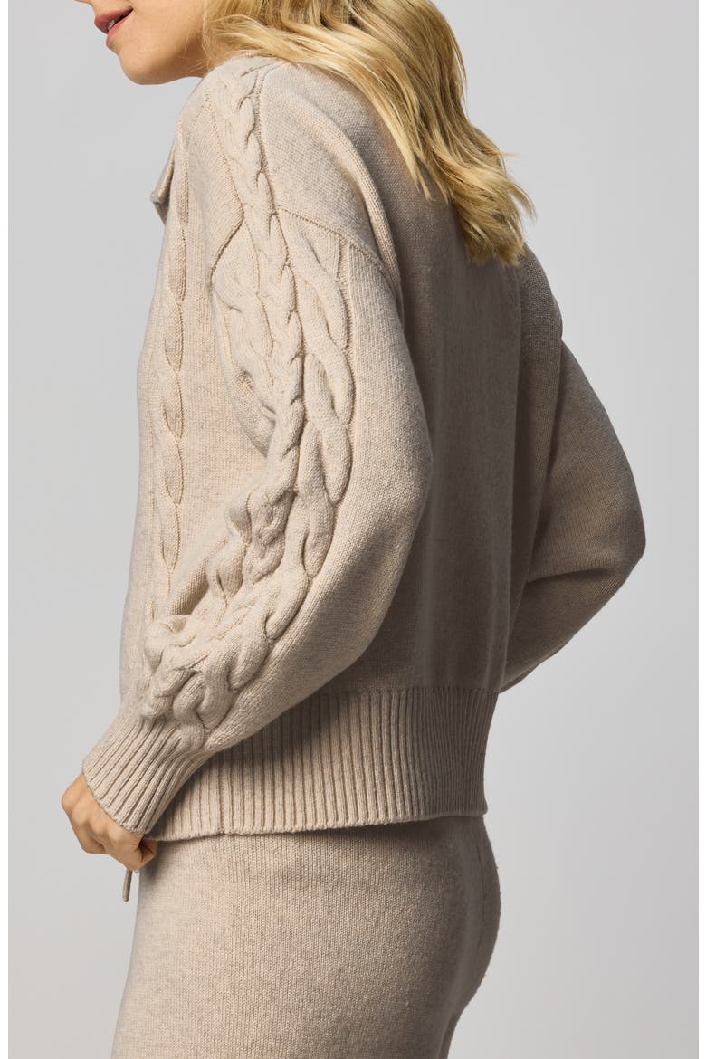 Jet Set Cable Stitch Polo Sweater, Alternate, color, CAPPUCCINO BROWN