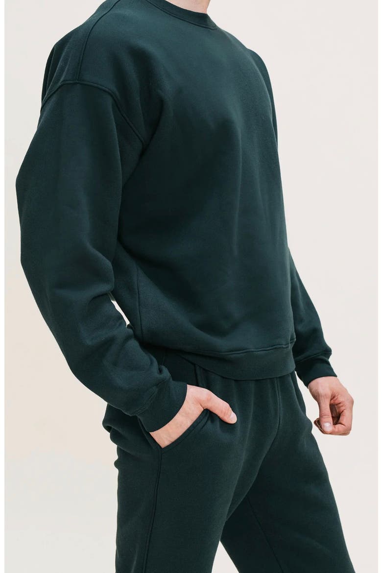 Men's Organic Cotton Teddy Everywhere Jogger, Alternate, color, Grove