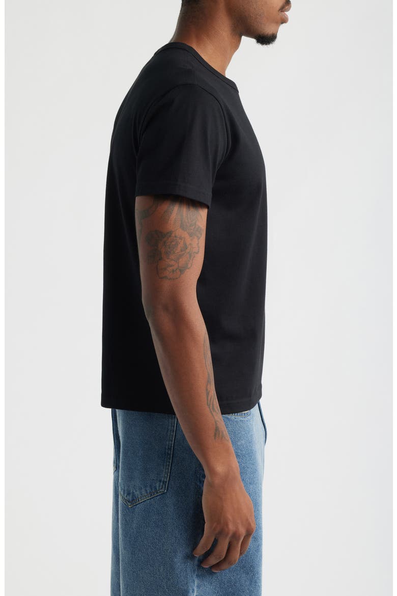 Shrunken T-Shirt, Alternate, color, BLACK