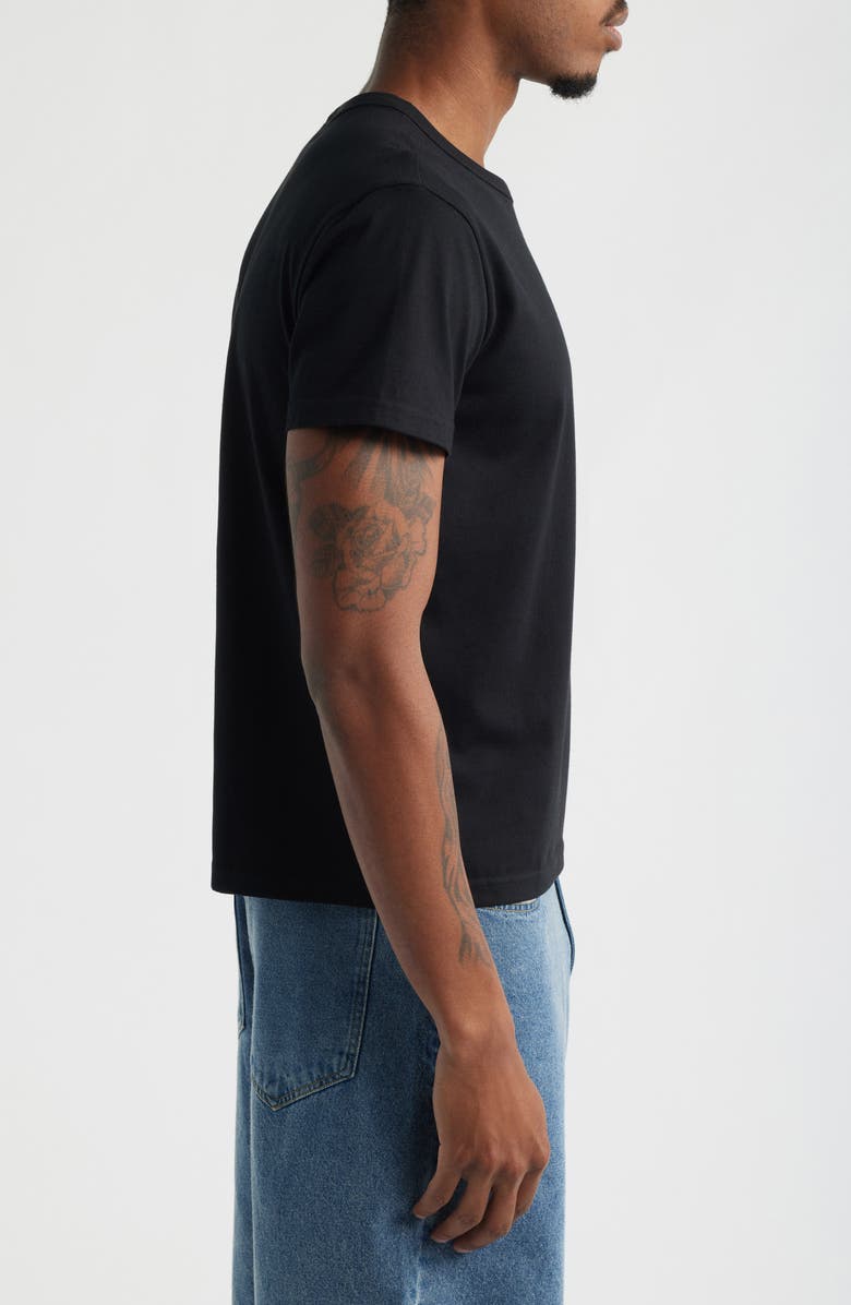 BP. Shrunken T-Shirt, Alternate, color, Black