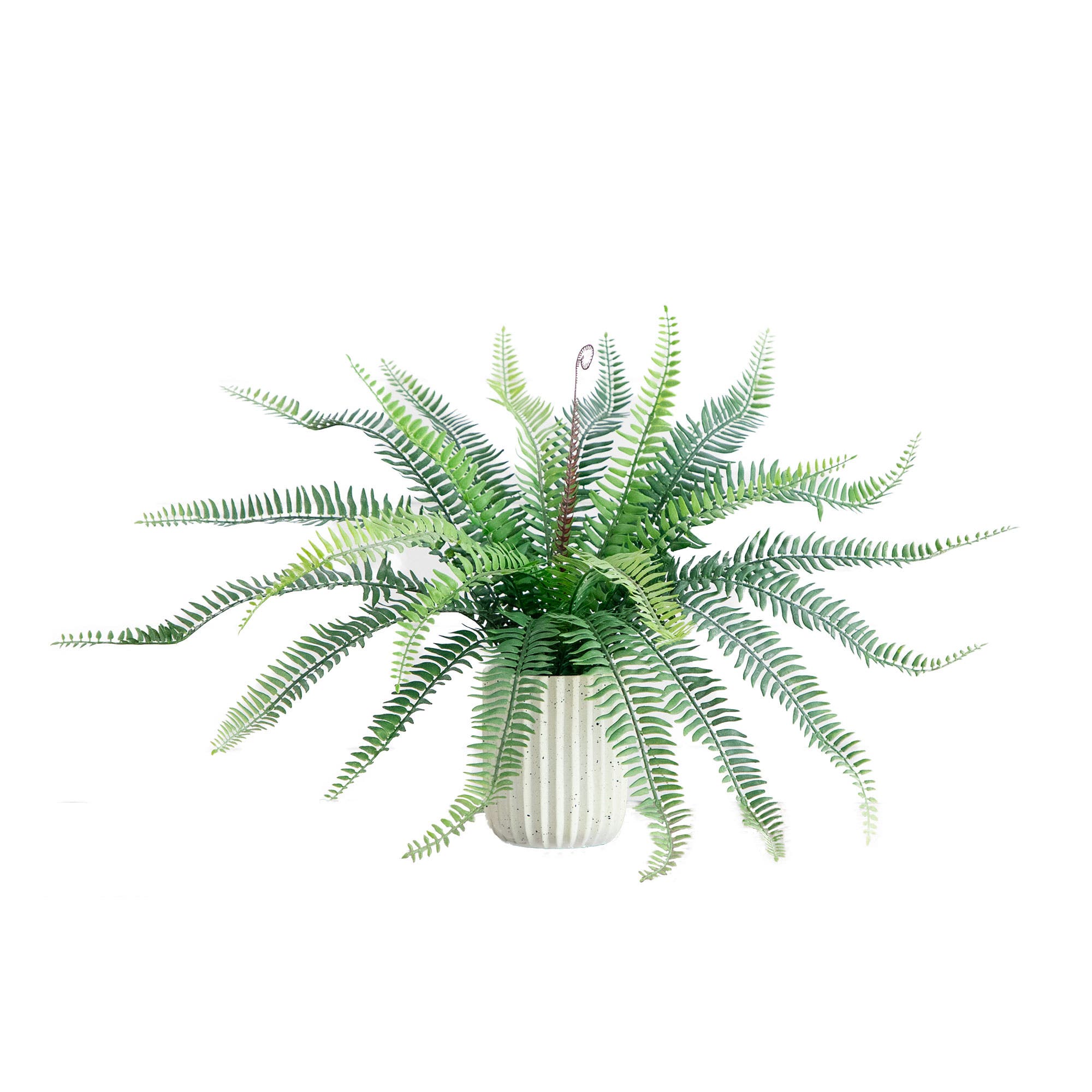 selected Green