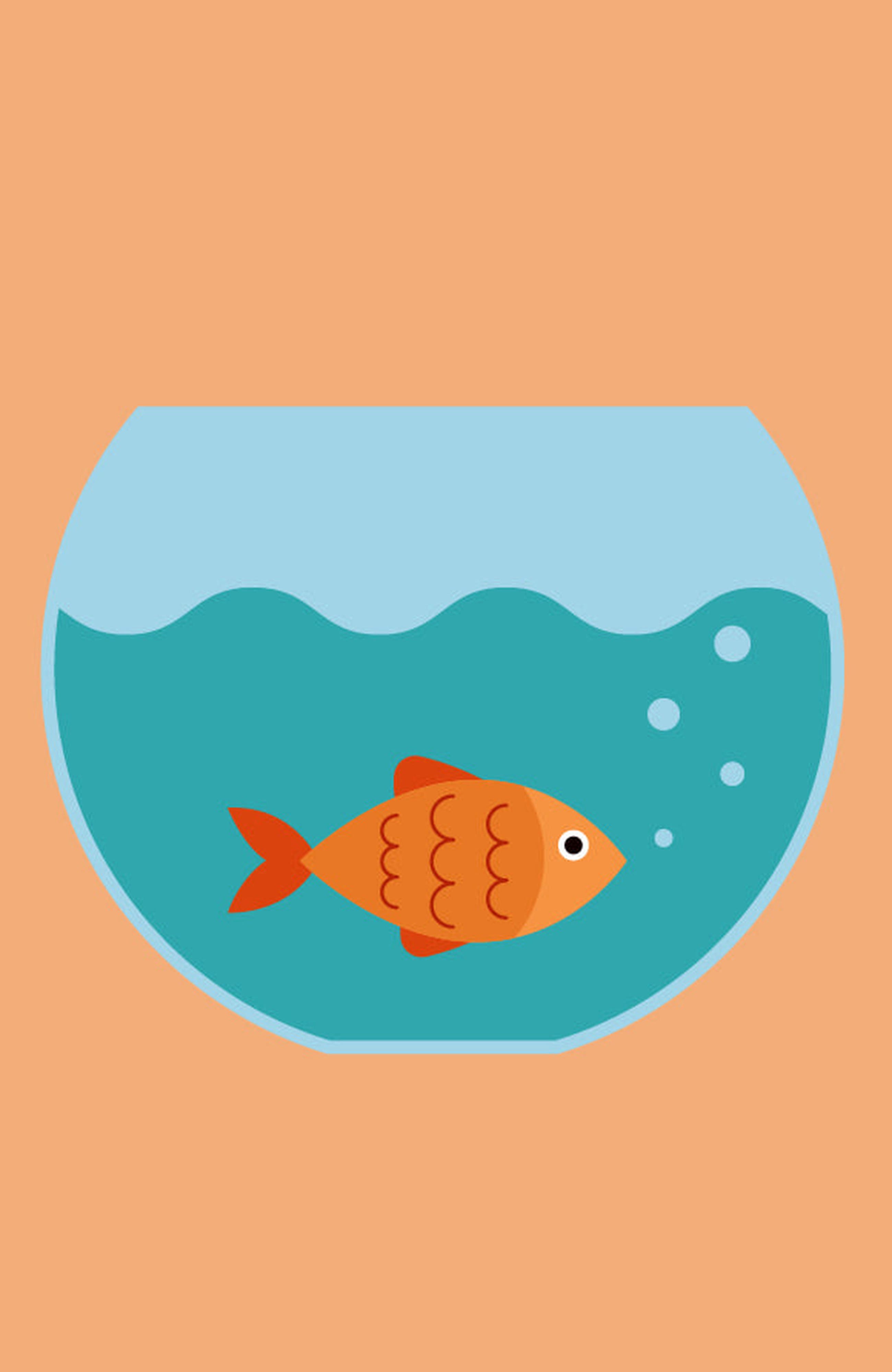 selected Orange / Teal