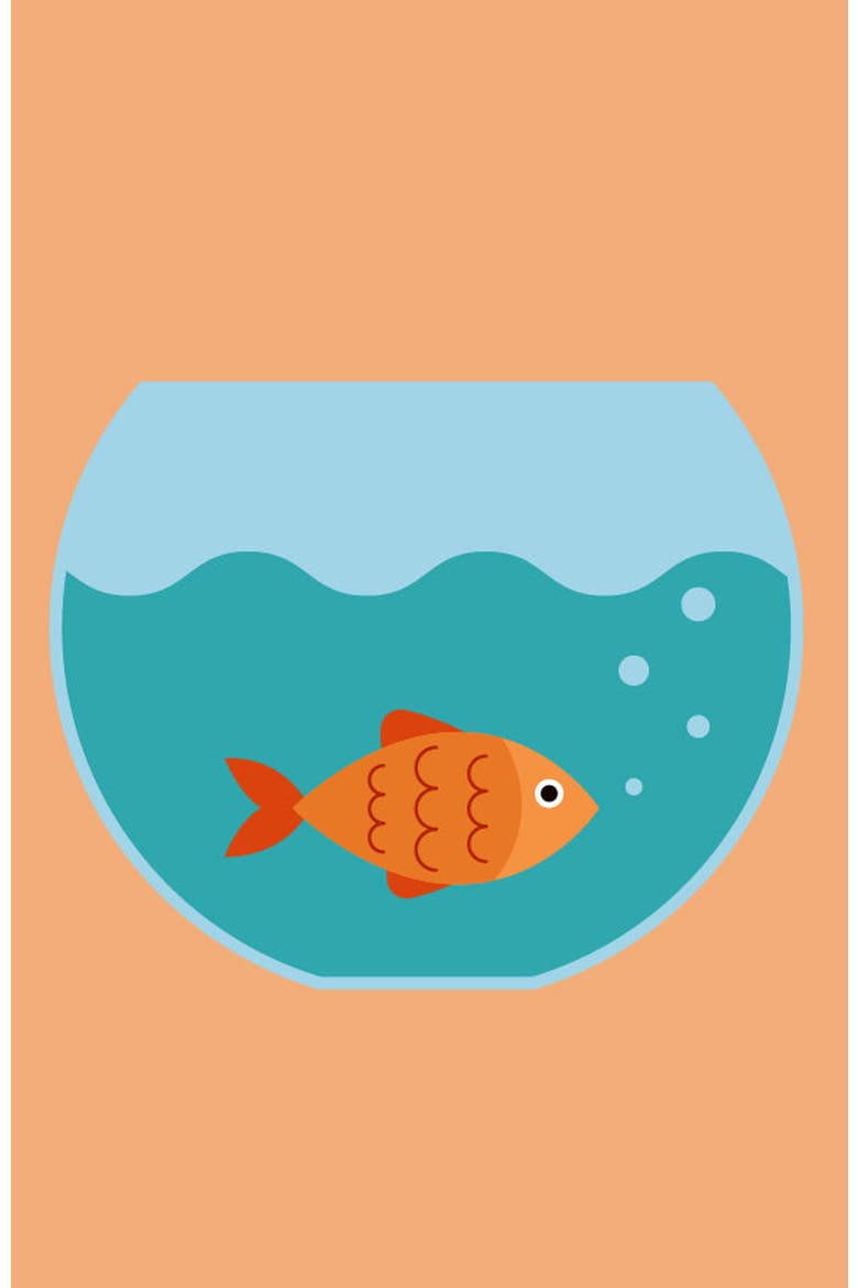 Gertie Goldfish Paint by Numbers Kit, Main, color, Orange / Teal