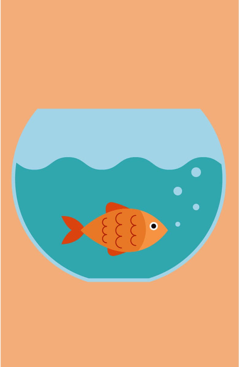 Pink Picasso Kits Gertie Goldfish Paint by Numbers Kit, Main, color, Orange / Teal