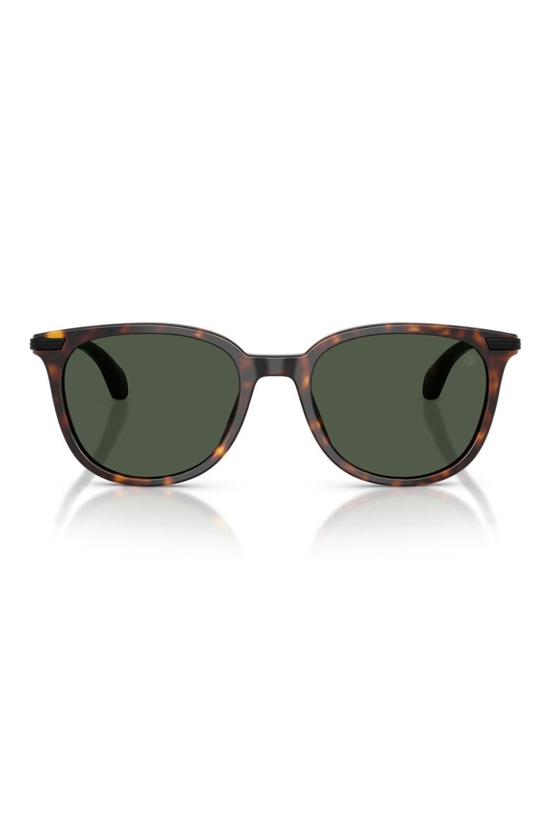 Kora 53mm Polarized Oval Sunglasses, Main, color, HAVANA / POLAR SOLID GREEN