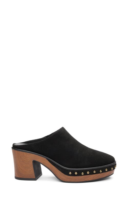 Sanctuary Emersyn Studded Platform Clog In Multi