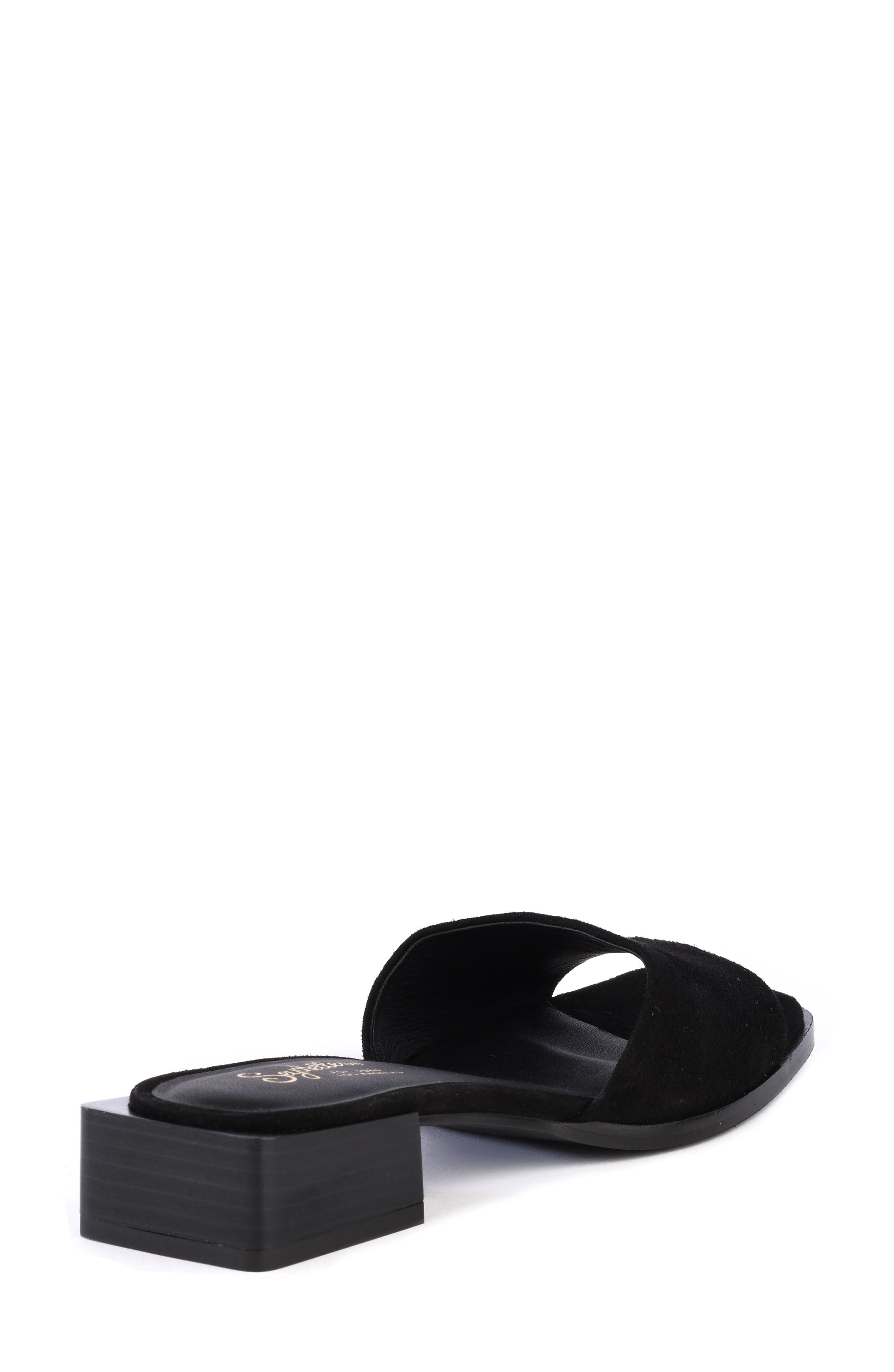 Seychelles Through It All Slide Sandal, Alternate, color, 