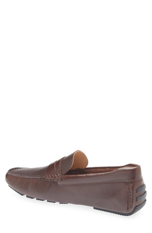Nordstrom Cody Driving Loafer In Brown