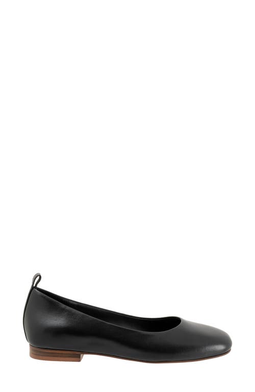 Softwalk ® Kiris Flat In Black