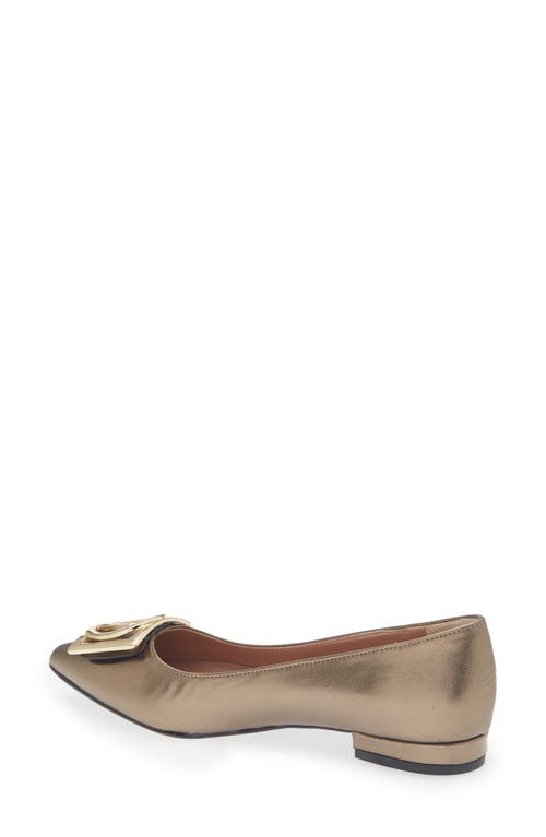 Valentino By Mario Valentino Flora Logo Buckle Pointed Toe Flat In Brown