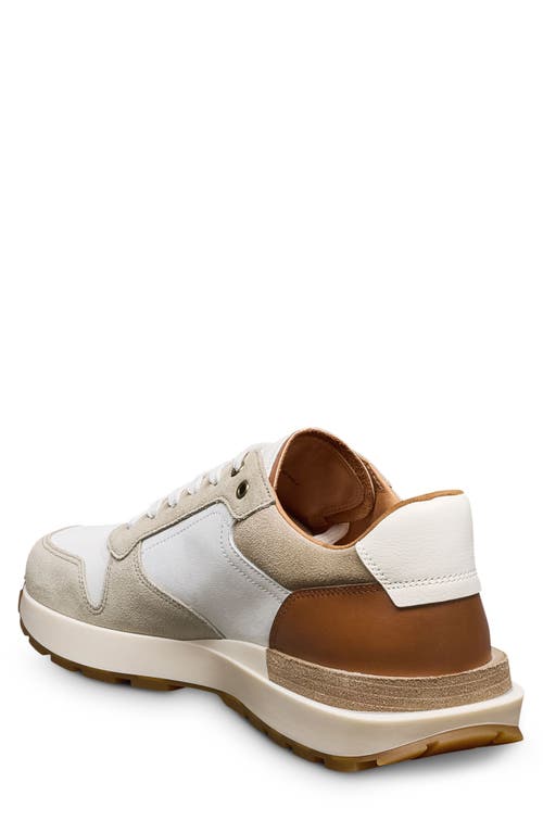Allen Edmonds Lionel Lace-up Sneaker In White Multi