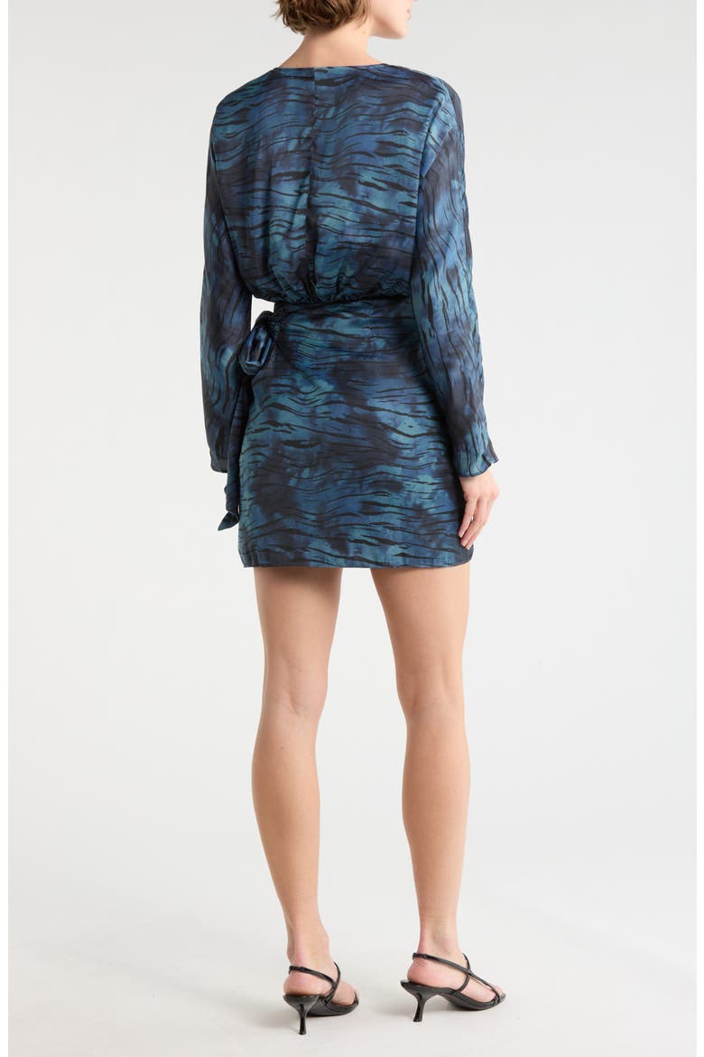 Isono Long Sleeve Dress, Alternate, color, TWILIGHT ZEBRA